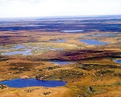 Siberian Tundra