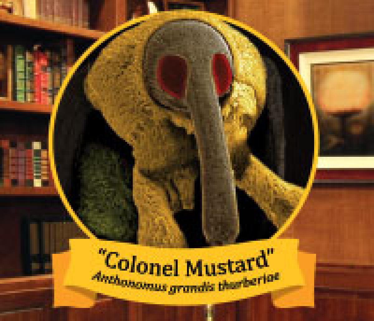 colonel mustard for ugly bug